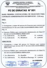 FE DE ERRATA 001 - 2013